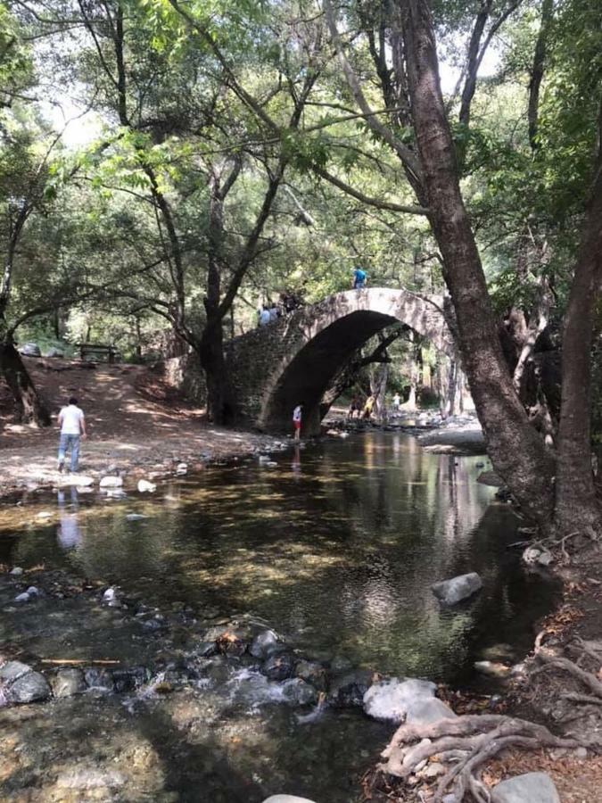 パ フォス Salamiou Stone Houseヴィラ エクステリア 写真